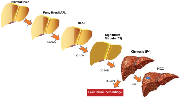 Figure 3: