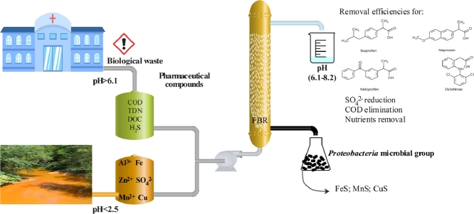 Image, graphical abstract