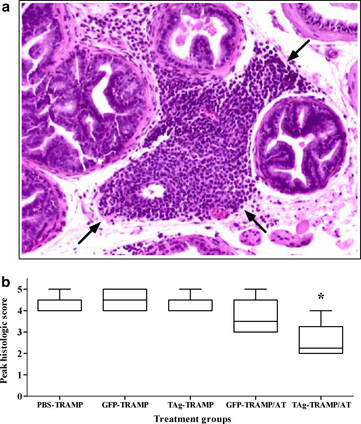 Fig. 6