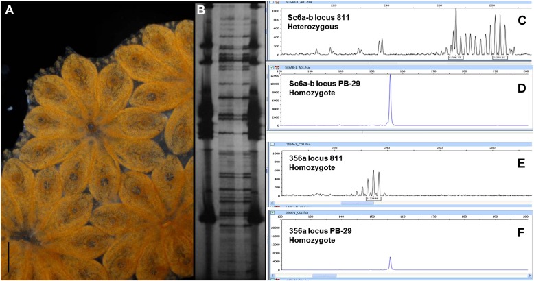 Figure 2—figure supplement 2.