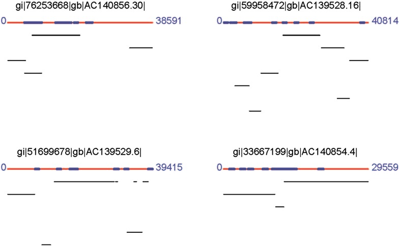 Figure 2—figure supplement 5.