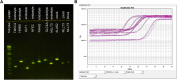 Figure 2—figure supplement 6.