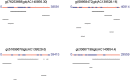 Figure 2—figure supplement 5.