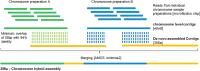 Figure 3—figure supplement 3.