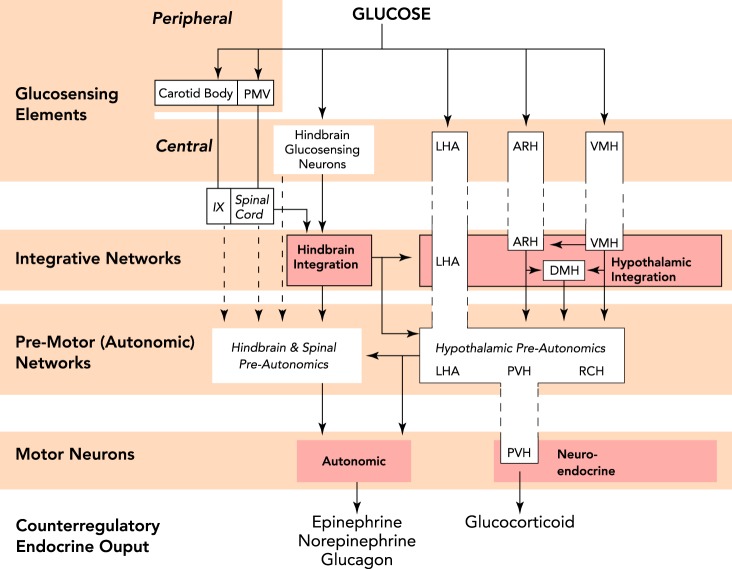 FIGURE 3.