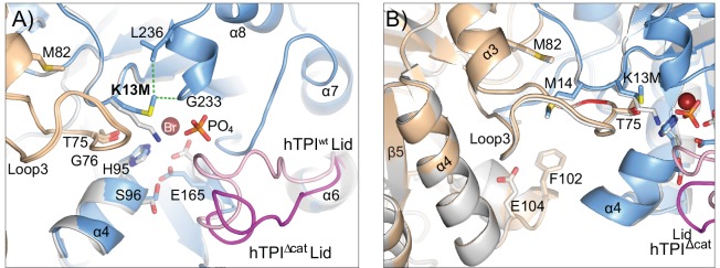 Fig 5