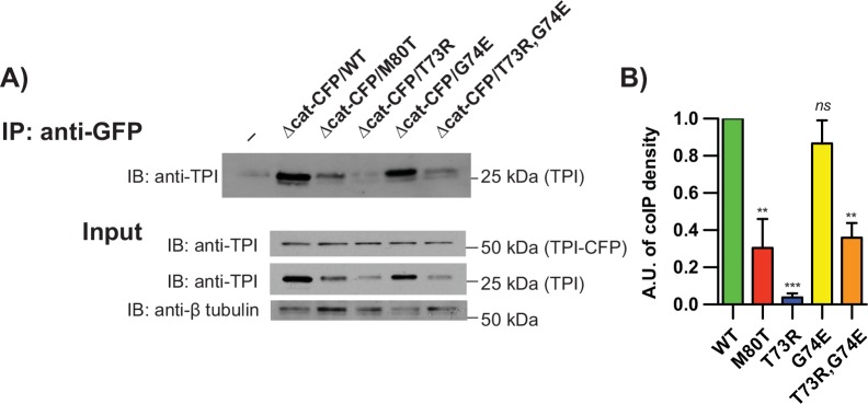 Fig 6