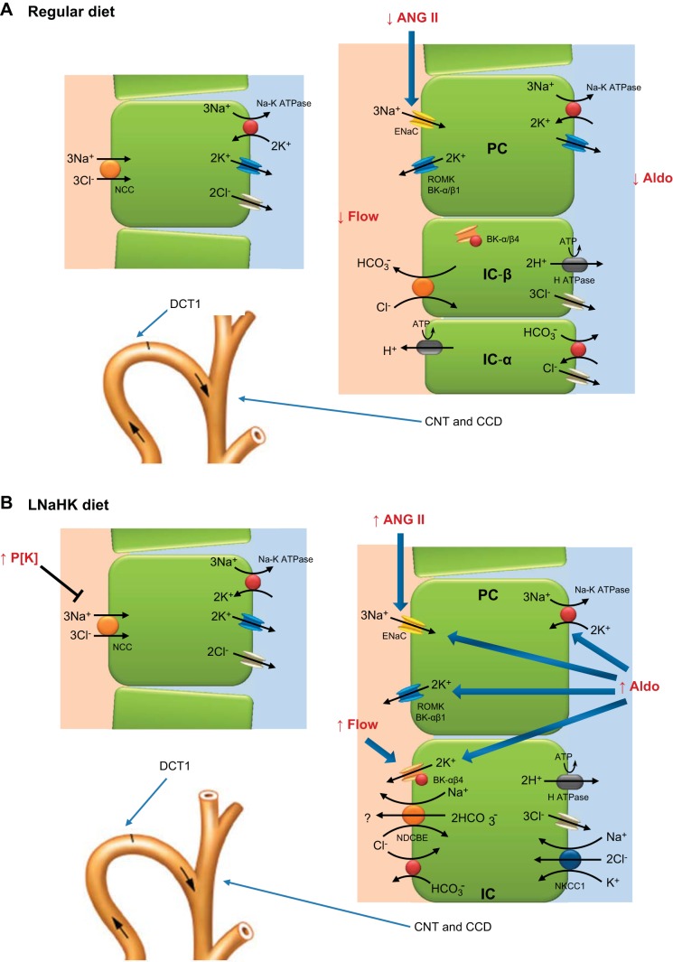 Fig. 2.