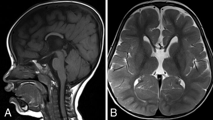 FIG 6.