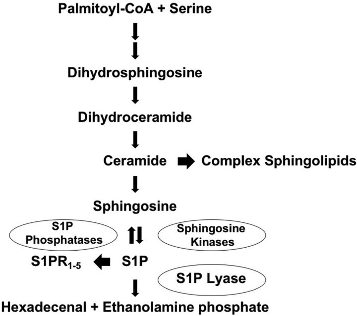 FIG 1.