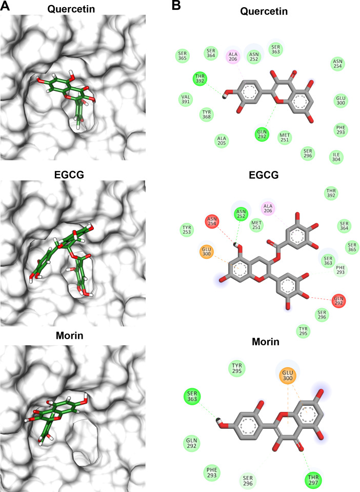 Figure 9