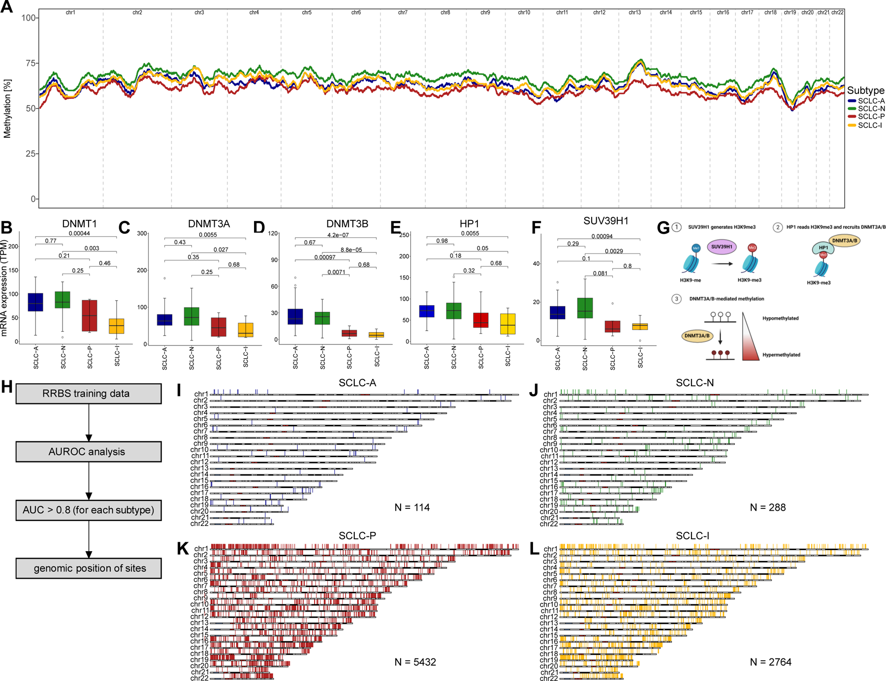 Figure 2: