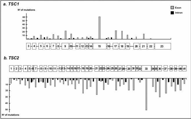 Fig. (2)