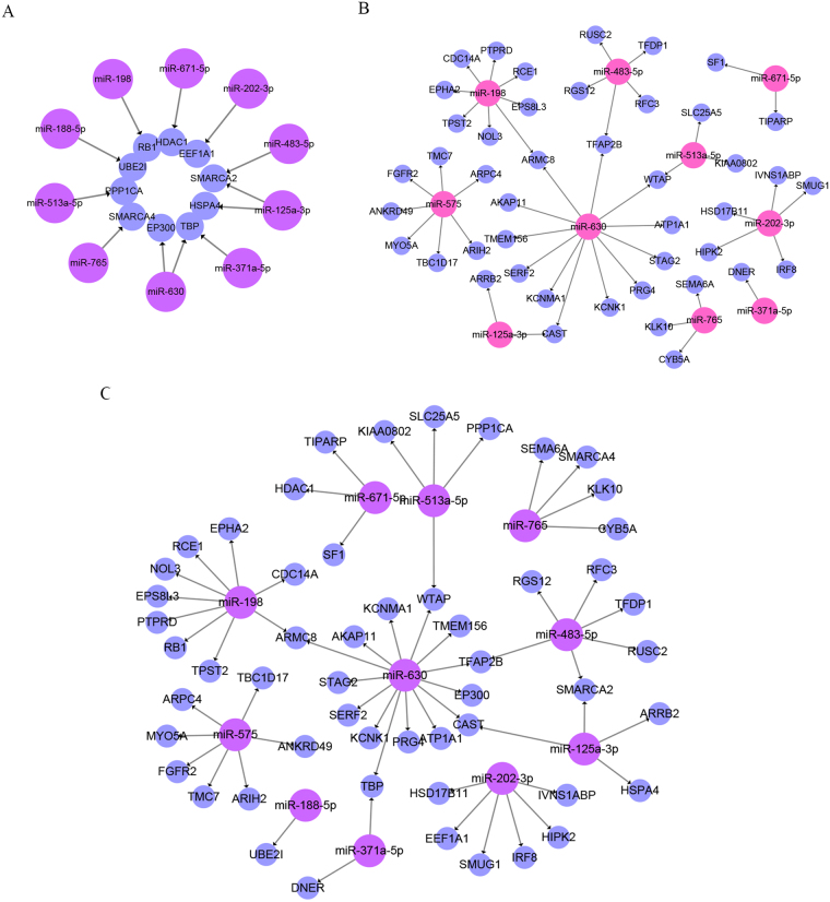 Figure 5