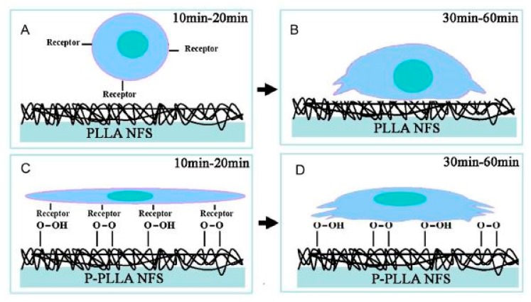 Figure 15