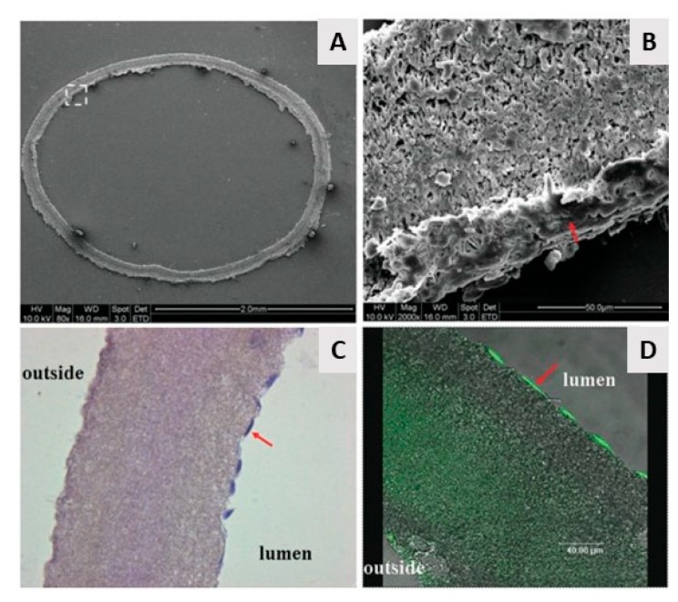 Figure 20