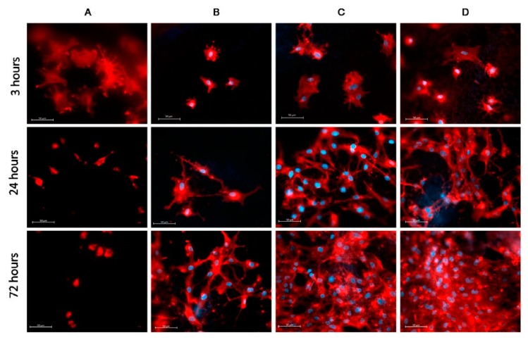 Figure 24