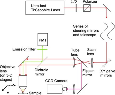 Figure 2