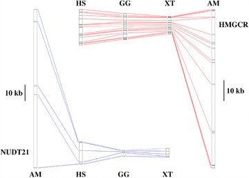 Figure 14