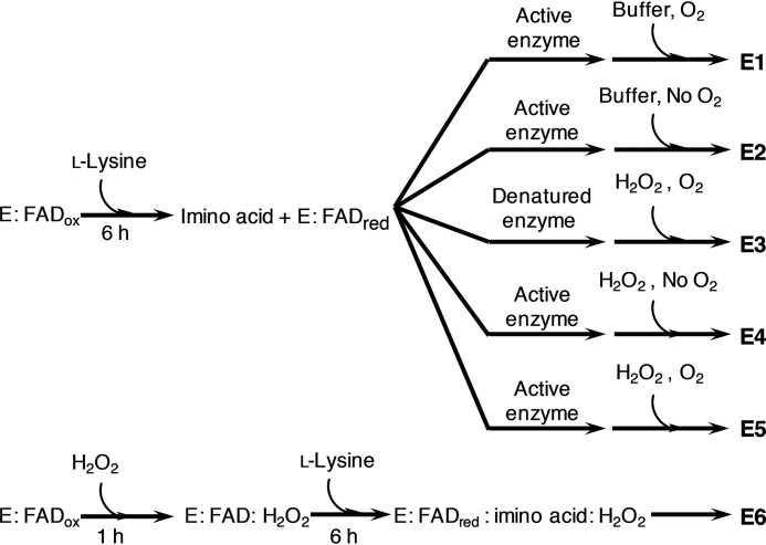 Scheme 2.