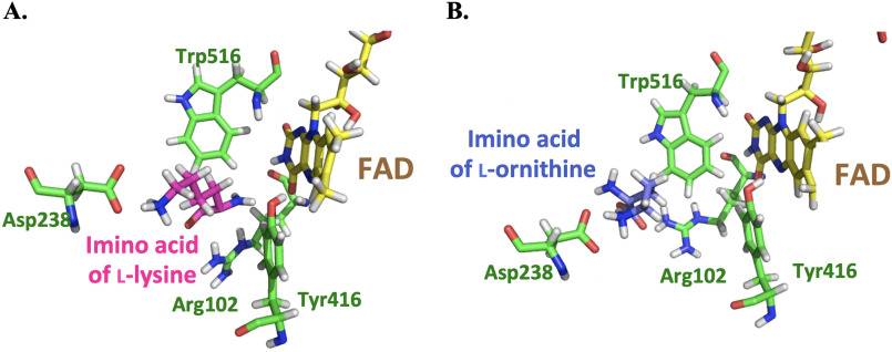 Figure 10.