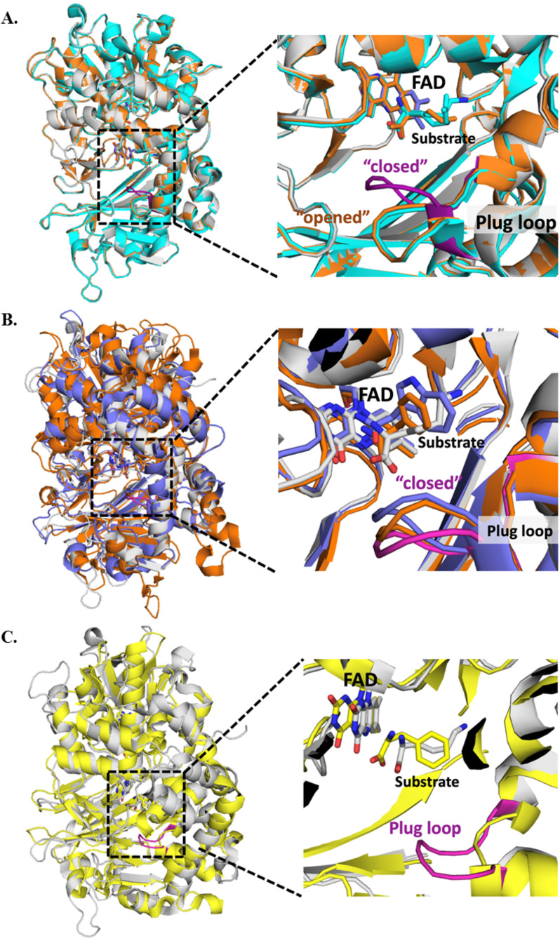 Figure 9.