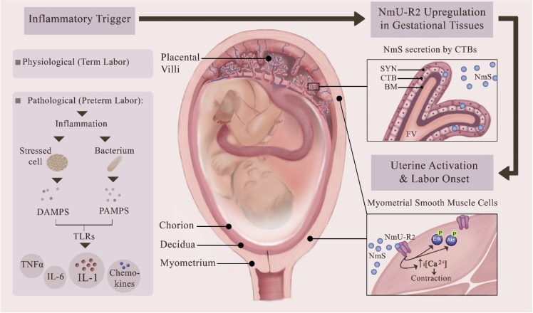 FIG. 6