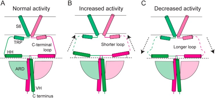 Figure 6.