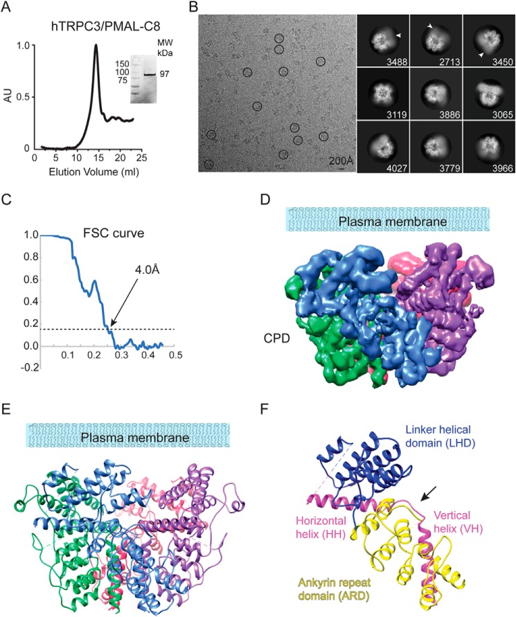 Figure 2.