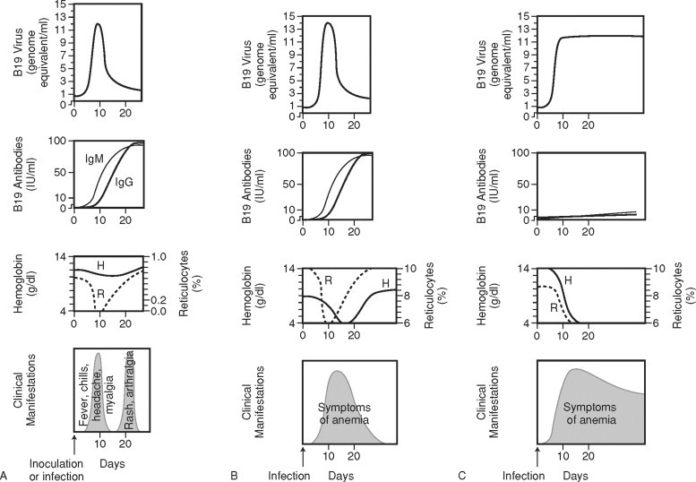Figure 48-4