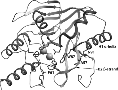 FIG. 1.