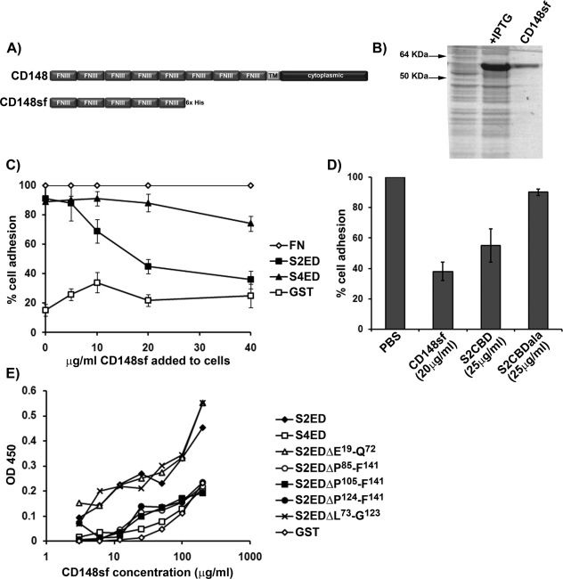 FIGURE 3: