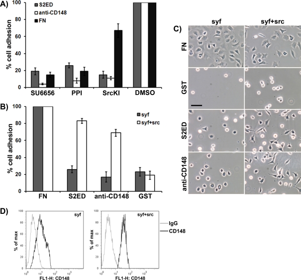 FIGURE 6: