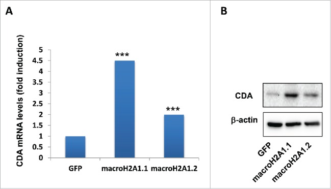 Figure 7.