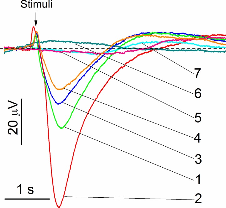 Fig 4