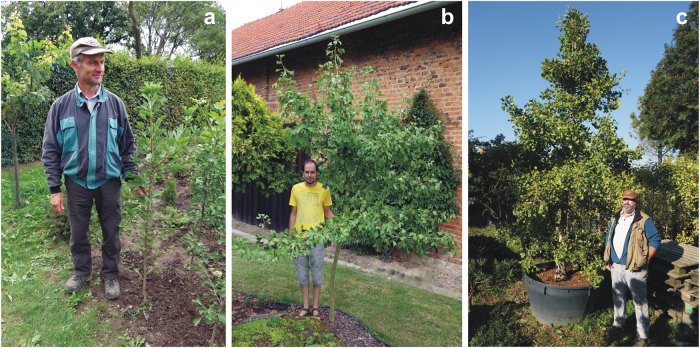 Fig. 4