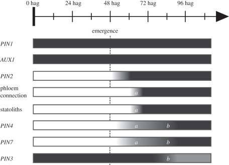 Figure 5.