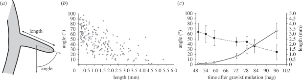 Figure 1.