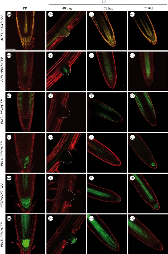 Figure 4.