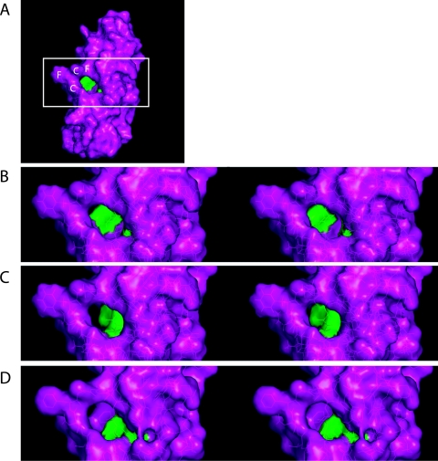 FIG. 2.