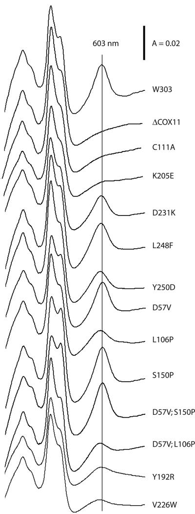 FIG.3.