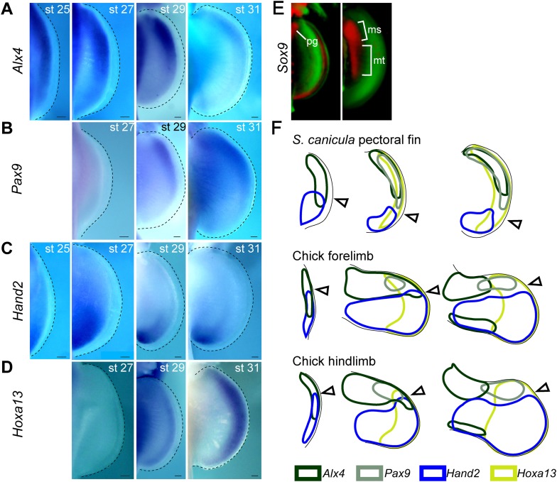 Figure 1—figure supplement 2.