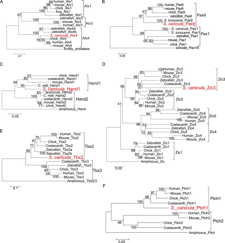 Figure 1—figure supplement 1.