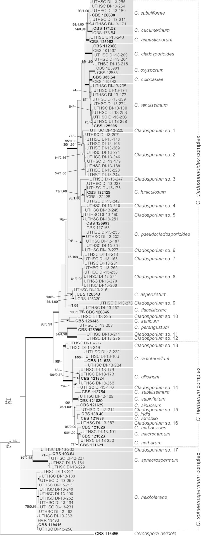 FIG 1