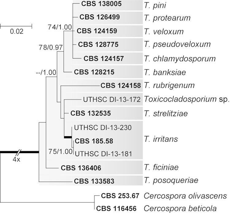 FIG 3