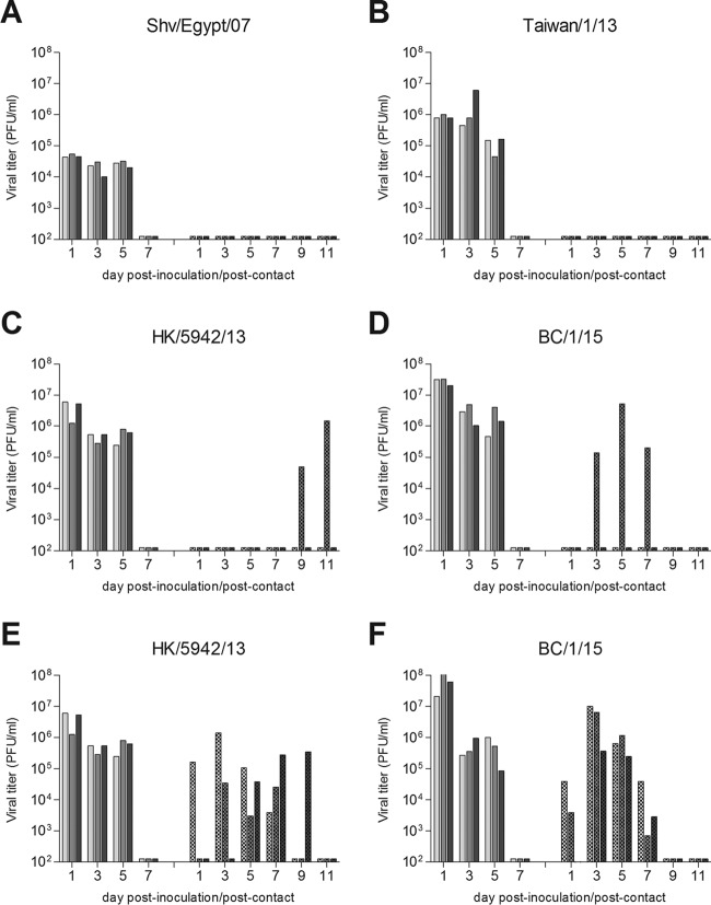 FIG 2