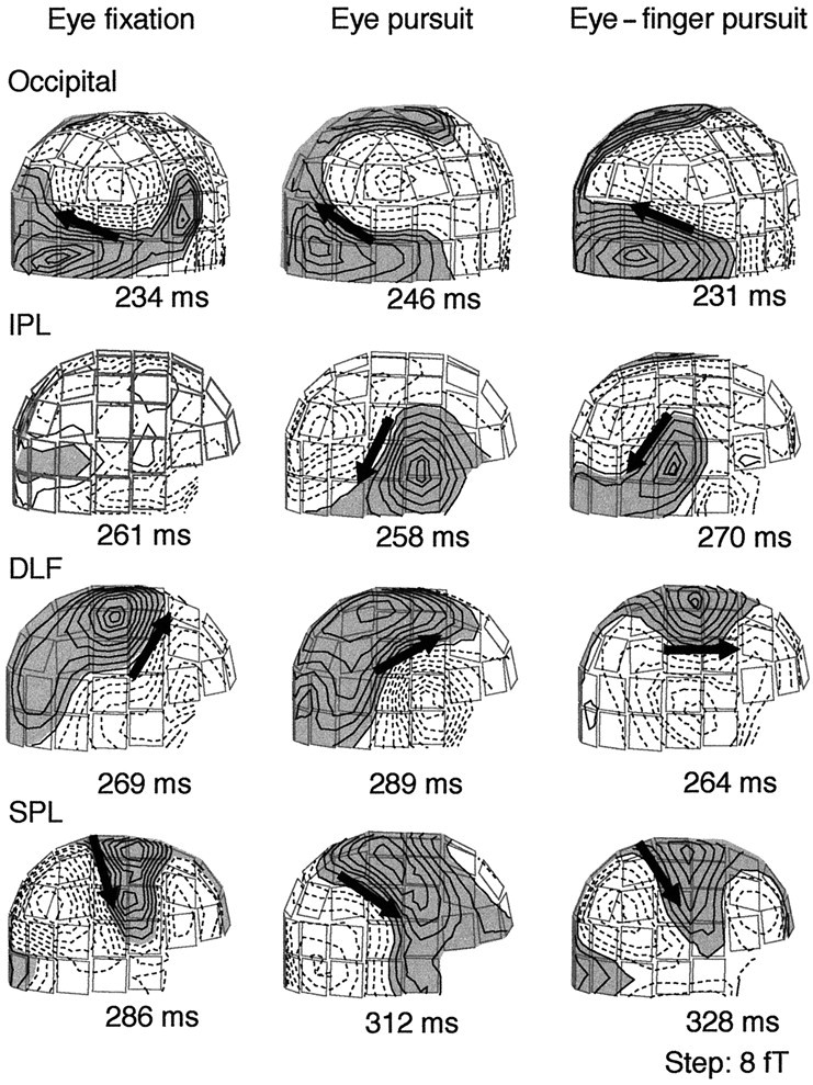 Fig. 5.