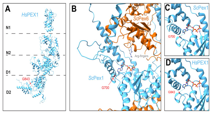 Figure 7