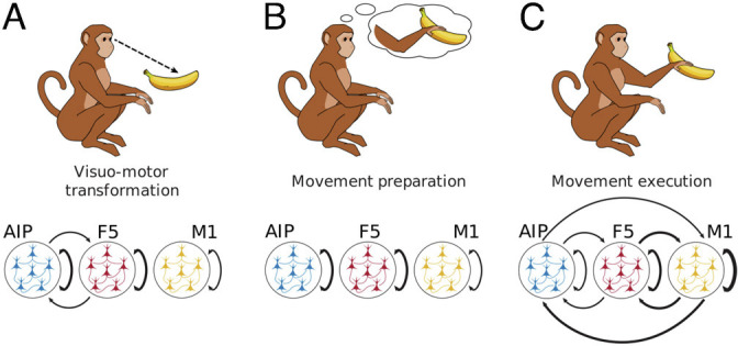 Fig. 7.