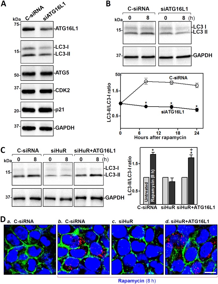 FIG 6